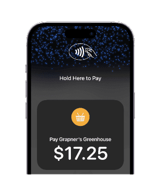 PayAnywhere tap to pay on iPhone 3