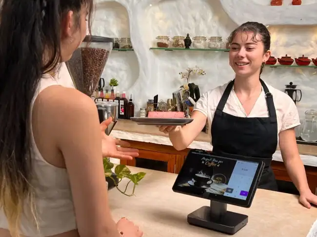 Dejavoo P18 POS System with merchant and customer