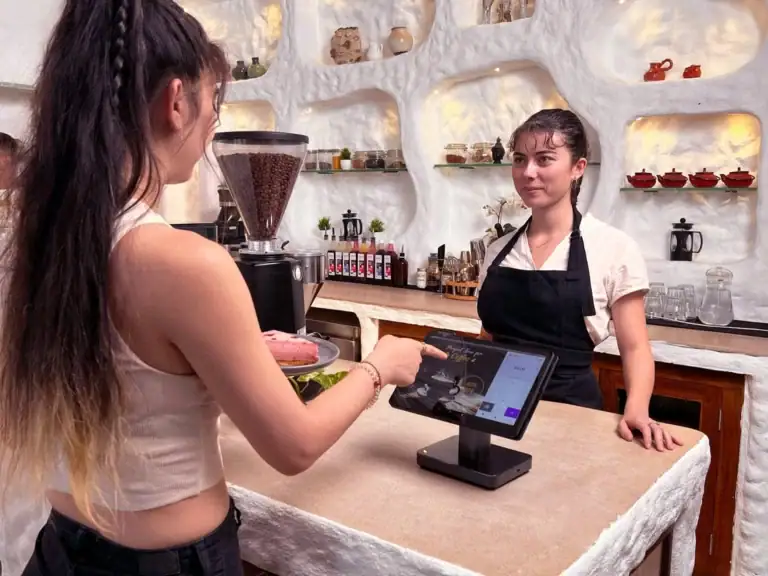 P18 pos system from Dejavoo and customer